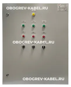 Шкаф управления ШУЭОр-21.9-Т223Н-240502-01-М S